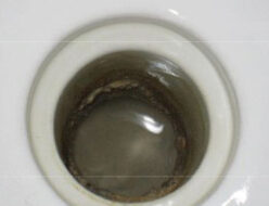 小学校のトイレにおいて尿石の除去
