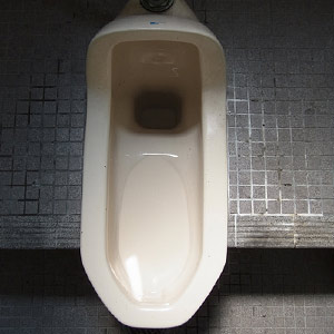 トイレの便器に発生した水垢の除去