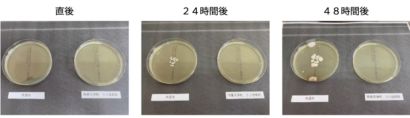 細菌を用いた抗菌評価テスト