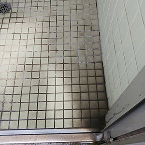 スマートフラッシュ：トイレのタイル汚れの除去