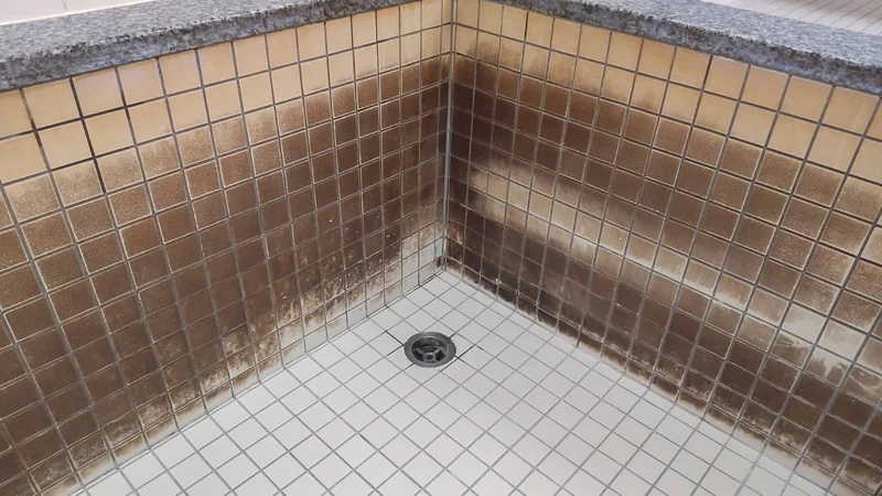 色の汚れはカルシウムだと思われます。